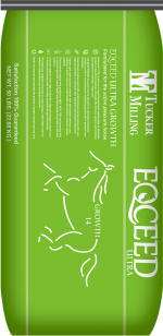 Eqceed Ultra Growth | Tucker Milling | Horse Feed